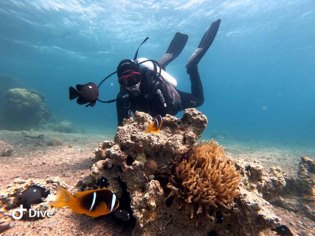 Aqaba Pro Divers Eksteriør billede