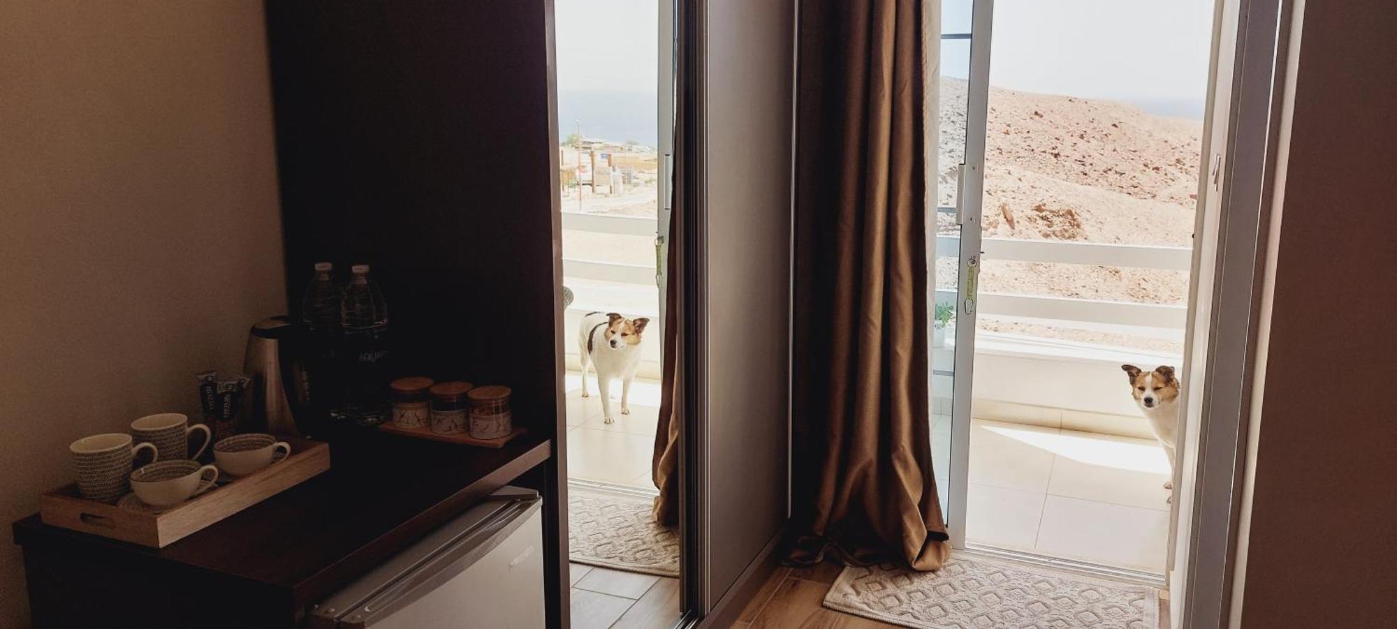 Aqaba Pro Divers Eksteriør billede